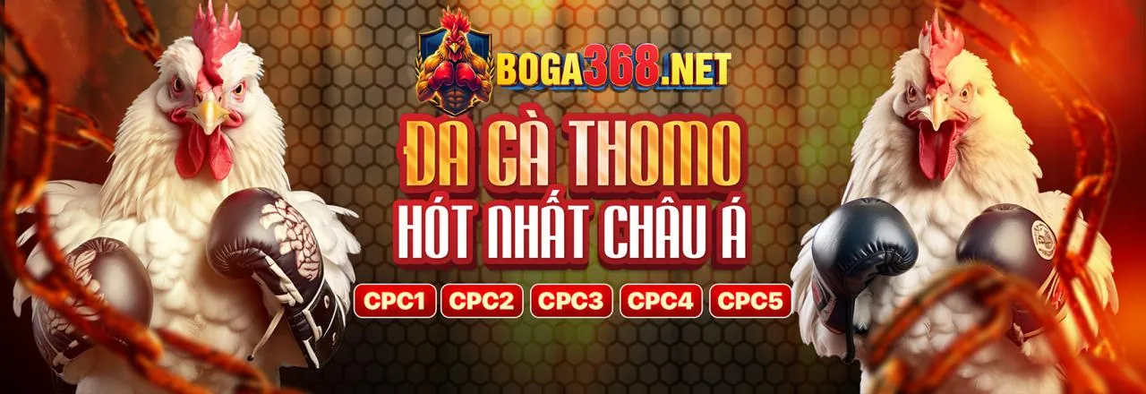 OMO88 Tính Năng Mới Nhất 2026 - Giao diện hiện đại